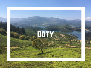 Ooty