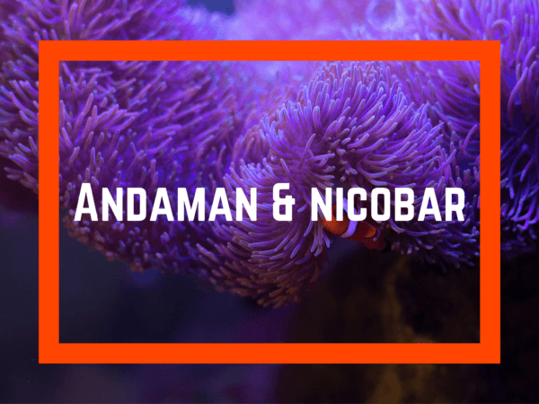 Andaman & Nicobar